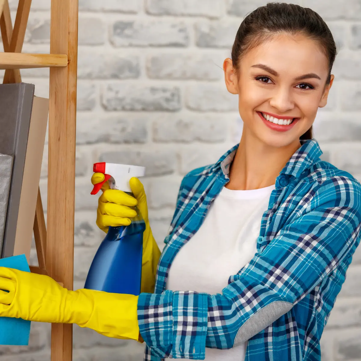 Standard Cleaning Services in Dallas